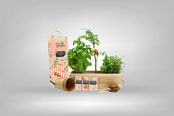 Holzkiste Mini-Garten "Italienische Küche"